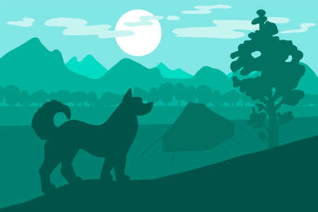 Dog in the camping. Forest sunset. Vectorのイラスト素材