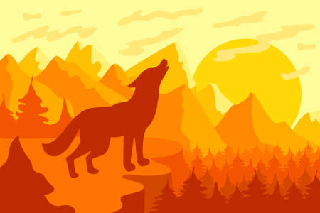 Howling at the moon wild wolf at sunrise or sunset in mountain forest. Natural landscape with...