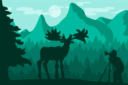 Wildlife photographer flat vector illustration. Minimalistic landscape with deer silhouetteのイラスト素材