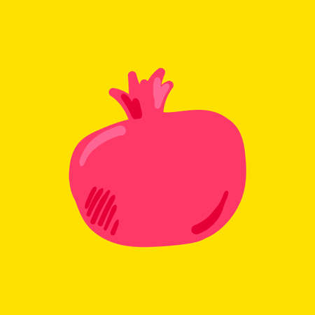 Pomegranate fruit flat vector illustrationのイラスト素材