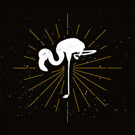 Pink flamingo silhouette badge. Exotic elegant bird vector icon. Ornithology, african fauna symbolのイラスト素材