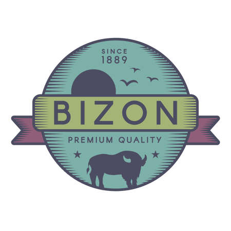 Bizon vector template. American buffalo, flying birds and sun silhouette. Wild animalのイラスト素材