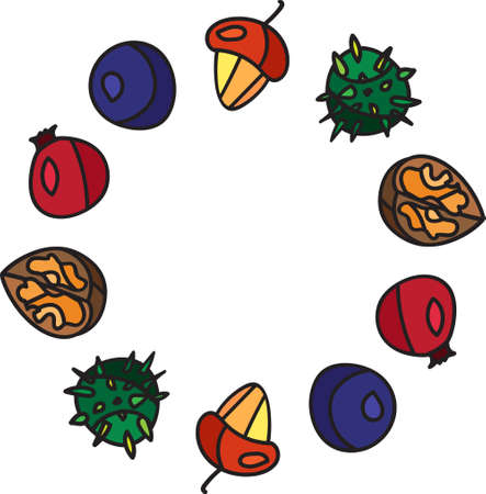 Berries and fruits of forest plants natural fruit vector round frame. Forest foliage plant seasonal brown nut with hat. Raw healthy shelled ingredient, park or garden wood harvest flat cartoon illustrationのイラスト素材