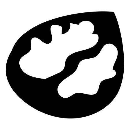 Silhouette of walnut half, element of Thanksgiving day festive table decoration. Walnut half contour holiday symbol. Simple black shape vector icon isolated on white backgroundのイラスト素材