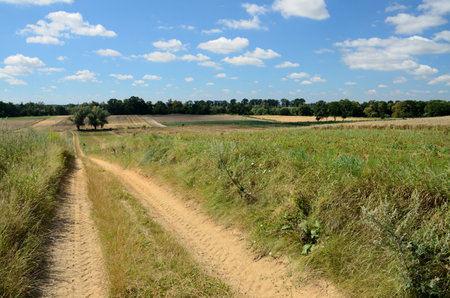 Dirt road and fields, natural landscape in Lower Silesia, Poland. Beautiful summer with blue sky.の写真素材