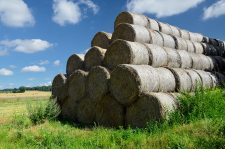 Hay bale, natural landscape in Lower Silesia, Poland. Beautiful summer with blue sky.の写真素材