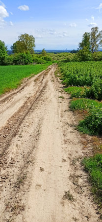 Dirt road surrounded by green fields. Landscape in Lower Silesia area. Beautiful spring in Poland.