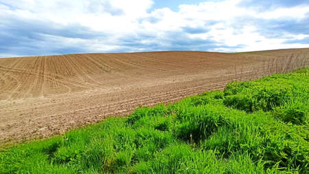 Farmland, green landscape with blue sky in Lower Silesia area. Beautiful spring in Poland.の写真素材