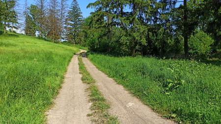 Dirt road surrounded by green fields. Landscape in Lower Silesia area. Beautiful spring in Poland.の写真素材