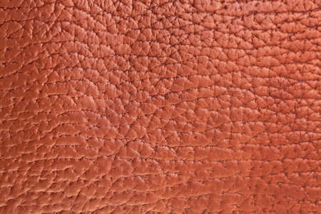 Brown leather pattern closeup detailed view.の写真素材