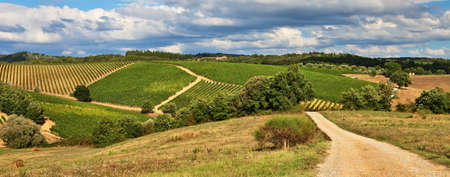 Vineyards over hills at Chianti, Italy.の写真素材