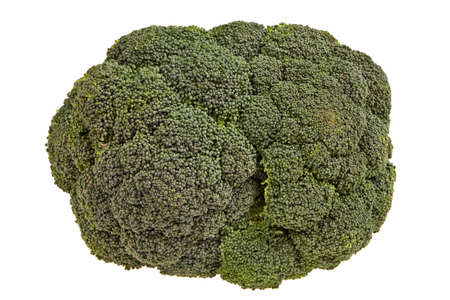 Broccoli flower closeup isolated over white background.の写真素材