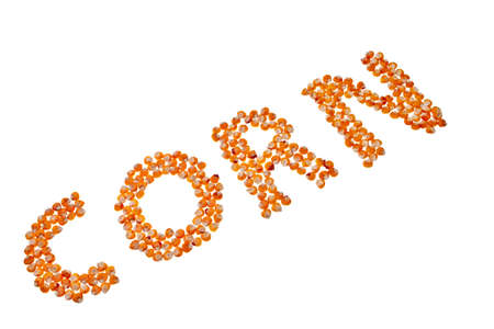 Corn word made out from corn seeds isolated over white background.の写真素材