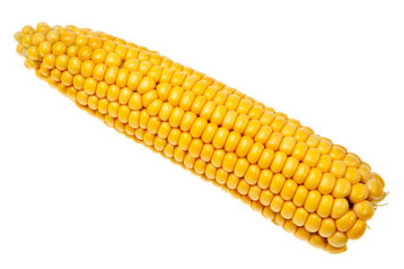 Corn cob closeup isolated over white background.の写真素材