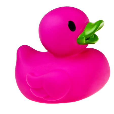 Rubber violet rubber duck isolated over white background.の写真素材