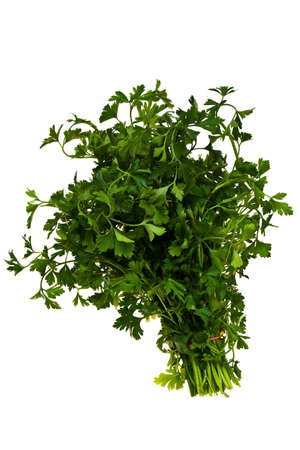 Parsley bundle isolated over white background.の写真素材