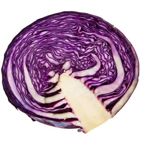 Blue cabbage head cross-section isolated over white background.の写真素材