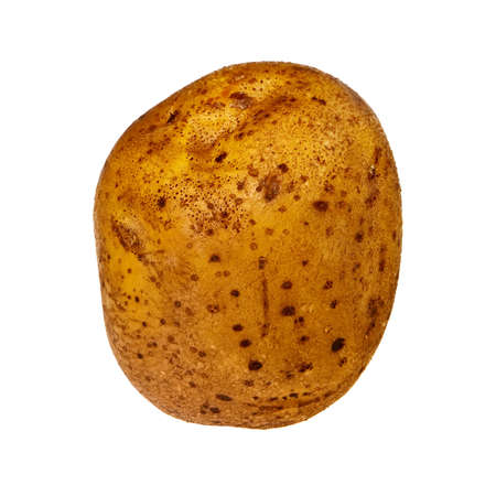 Fresh, raw potato isolated over white background.の写真素材