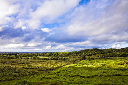 Early morning clouds glow over the lush landscape of East Maui の写真素材