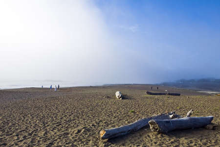 Fog rolls over a California beach with strollers and driftwoodの写真素材