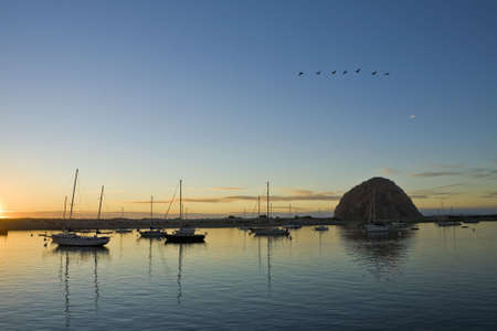 A flock of geese flies over Moro Bay harbor at sunsetの写真素材
