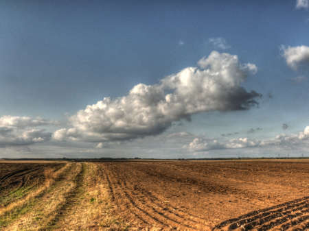 Cloudy fieldの写真素材