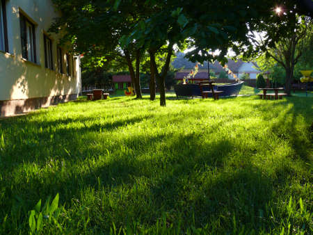 greeny backyard
