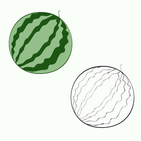An outline vector illustration of two watermelons isolated on white background. Designed in black and white and green colors for prints, wraps and as a coloring page for kids and adults.のイラスト素材