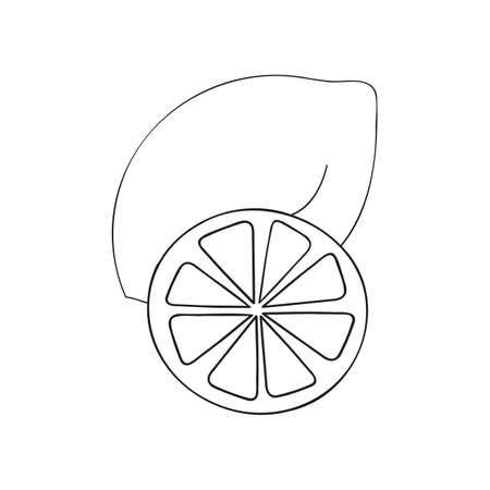 A black and white vector illustration of a lemon with a slice isolated on white background. A design element for prints, backgrounds, as a coloring page for adults and kids.のイラスト素材