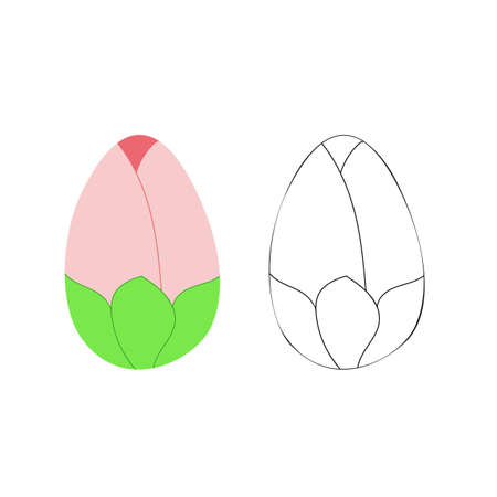 A vector illustration of two colored tulips in the form of an egg isolated on white background. One tulip is colored, another is black and white. Designed as a coloring book page for adults and kidsのイラスト素材