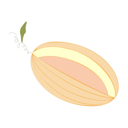 An outline vector illustration of a cut melon isolated on transparent background. Designed in orange and pink colors for web concepts, prints, templatesのイラスト素材
