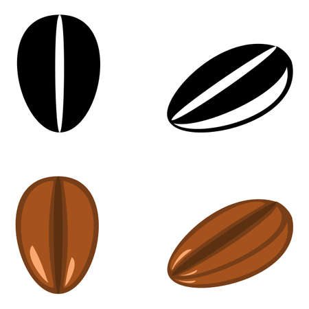 An outline vector illustration of coffee beans set isolated on transparent background. Designed in brown, black and white colors for web concepts, prints, templatesのイラスト素材