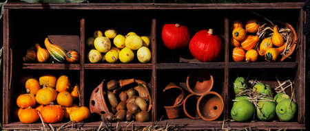 A composition of pumpkins and summer and winter squashes