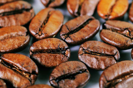 A close-up picture of coffee beans on a white の写真素材