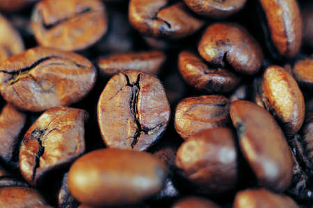 A pile of coffee beans in a golden lightの写真素材