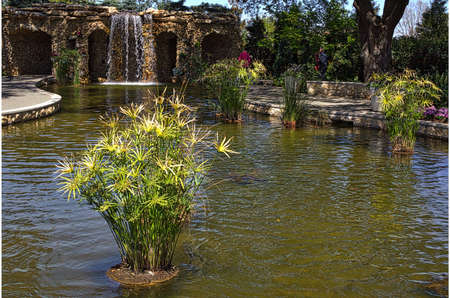 Waterfallの写真素材