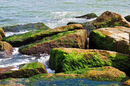 Oceanの写真素材