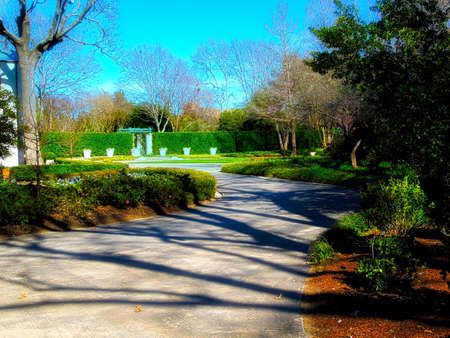 Trees In Forest With Walk-Wayの写真素材