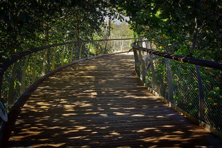 Shady Brown Bridgeの写真素材