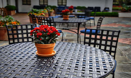 Flower and Tableの写真素材