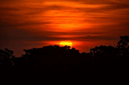 Sun Downの写真素材