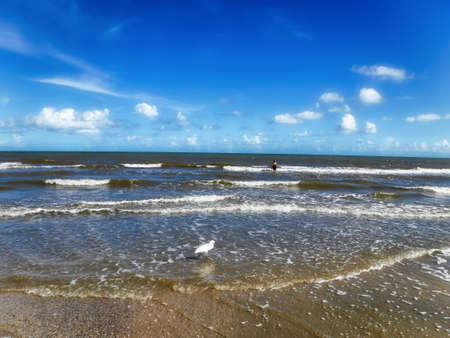 Beachの写真素材
