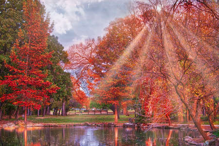 Pond background.の写真素材