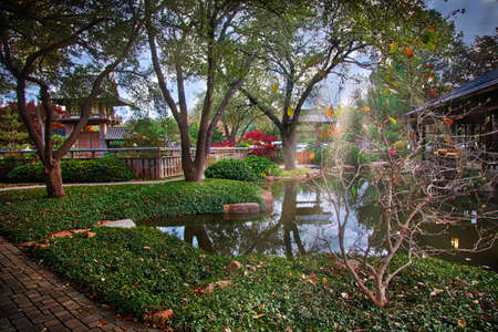 Pondのeditorial素材