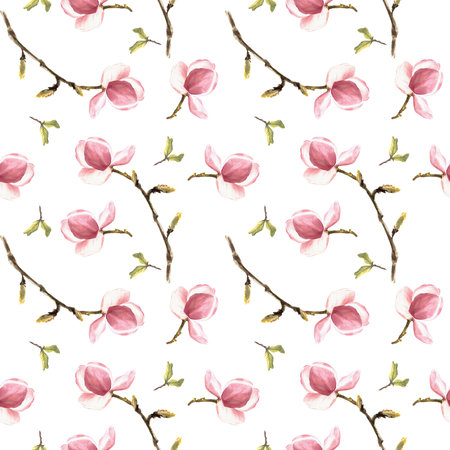 Watercolor Magnolia flowers Seamless Pattern Hand painted illustration isolated on white backgroundの写真素材