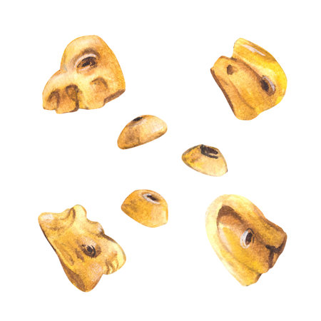 Boulder stones Holds for rock climbing on a wall. Watercolor illustration isolated white backgroundの写真素材