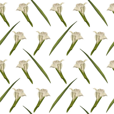Watercolor gladiolus seamless pattern Hand drawn digital illustration of flowers on white background