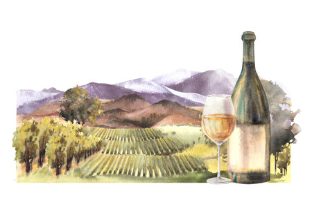 Watercolor rural landscape illustration with bottle and glass in front of the vineyards. Wine labelの写真素材