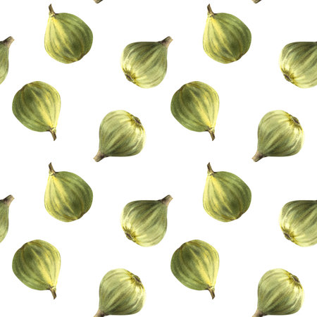 Ripe, juicy fruits of green figs, whole fruits seamless pattern. Food, plant clipart for fabric,...