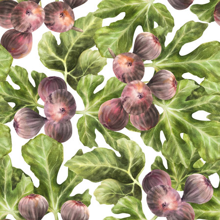 Branch of juicy, ripe purple figs with leaves and whole fruit Food, plant seamless pattern Clipart for packaging, wallpaper, textiles, fabric watercolor painted illustration. Isolated white backgroundの写真素材